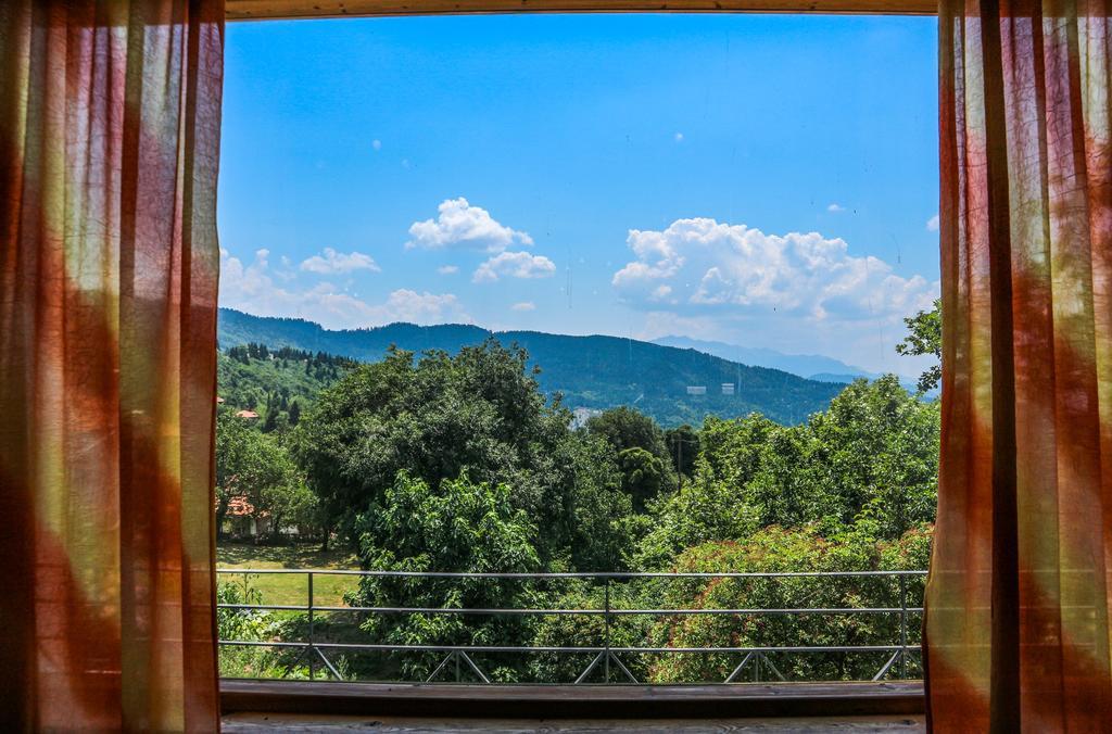 Hotel Elatofilito Athamánio Kültér fotó