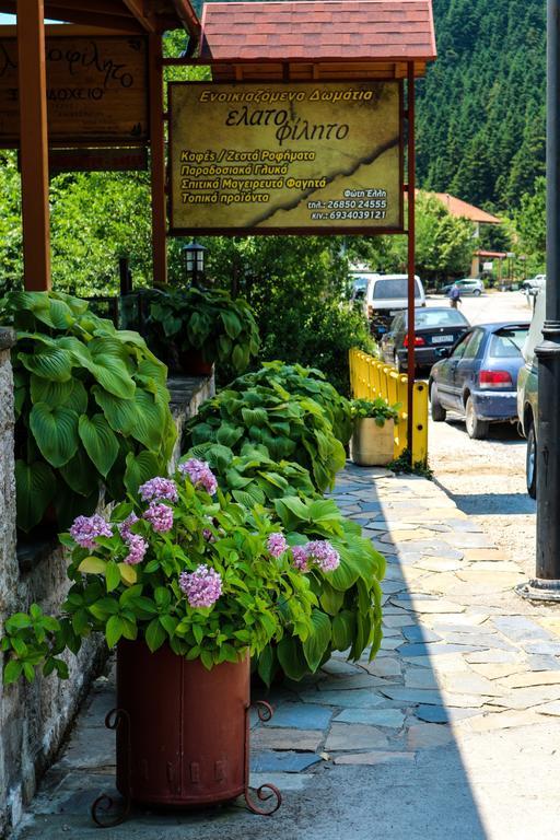 Hotel Elatofilito Athamánio Kültér fotó