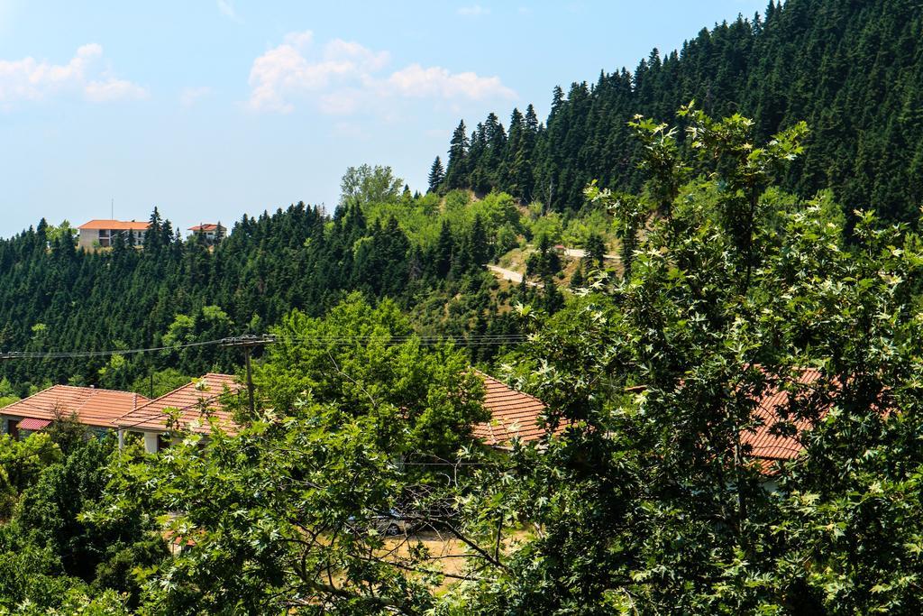 Hotel Elatofilito Athamánio Kültér fotó